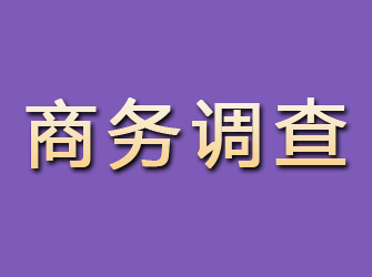 积石山商务调查